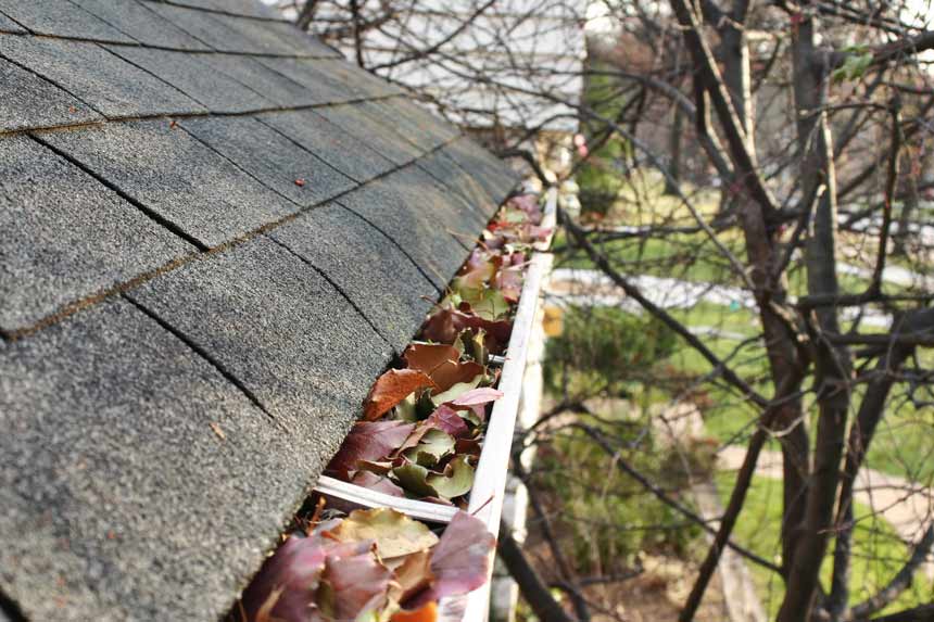 Gutters-Full-of-leaves