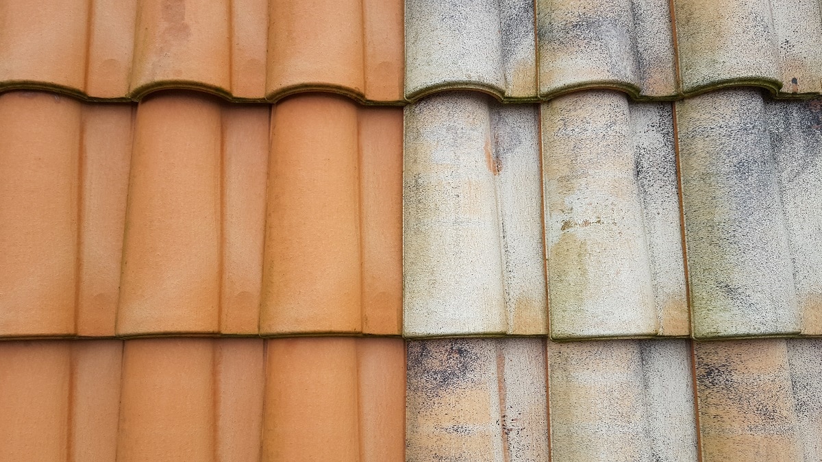 Nashville gutter cleaning