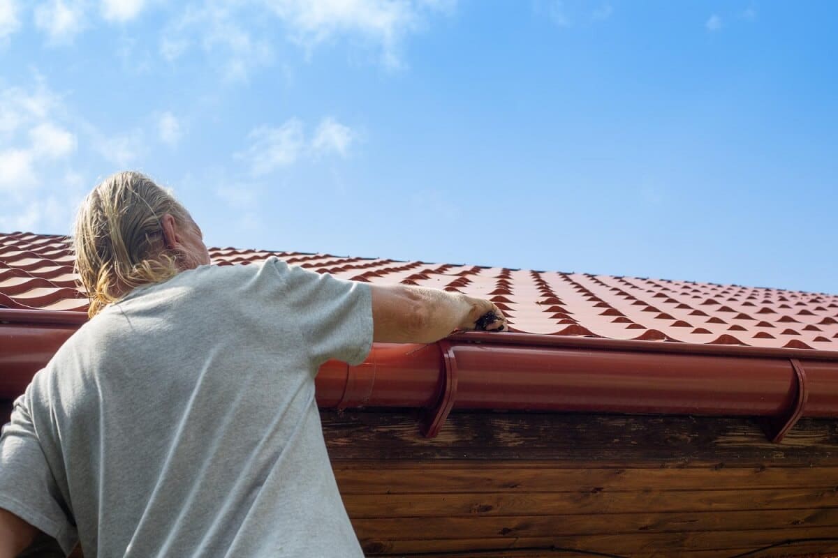 Gutter cleaning